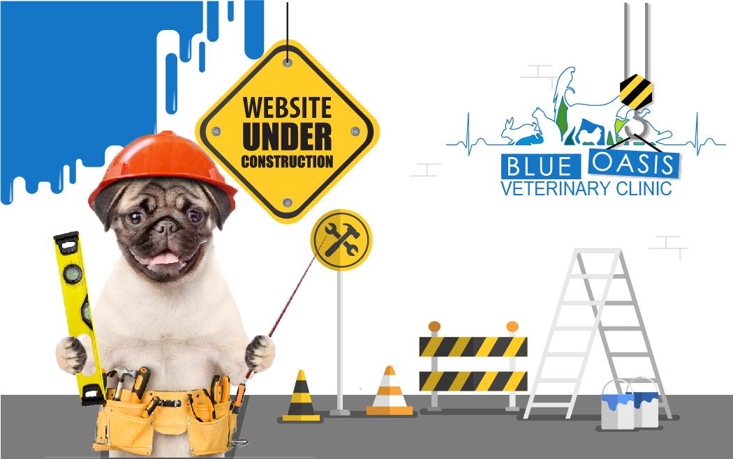 Blue Oasis Veterinary Clinic Dubai | BOVC Blue Oasis Veterinary Clinic Dubai | BOVC