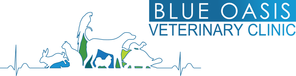 Blue Oasis Veterinary Clinic Dubai