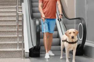 Guide-dog